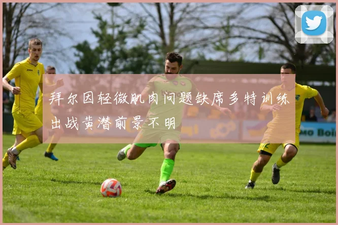 拜尔因轻微肌肉问题缺席多特训练出战黄潜前景不明