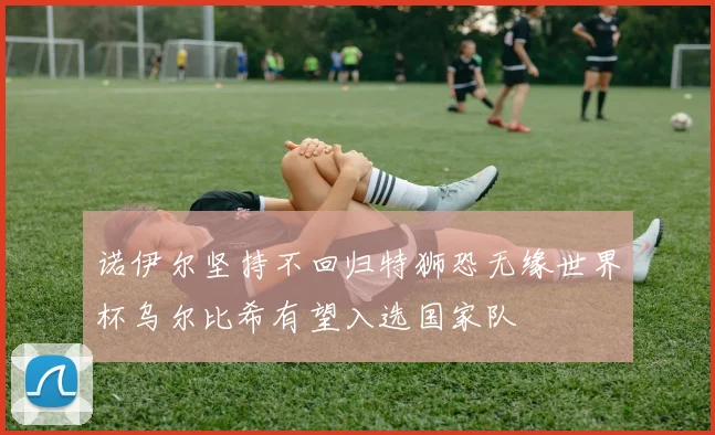 诺伊尔坚持不回归特狮恐无缘世界杯乌尔比希有望入选国家队