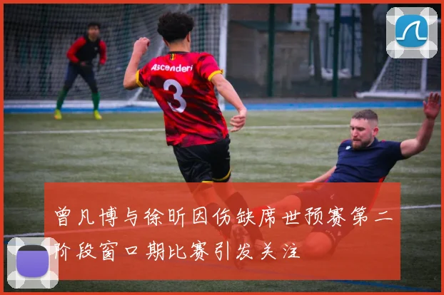 曾凡博与徐昕因伤缺席世预赛第二阶段窗口期比赛引发关注