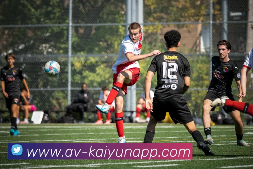 开云体育平台生态图